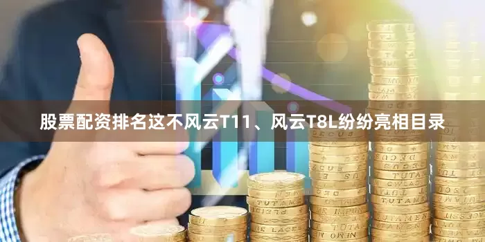 股票配资排名这不风云T11、风云T8L纷纷亮相目录